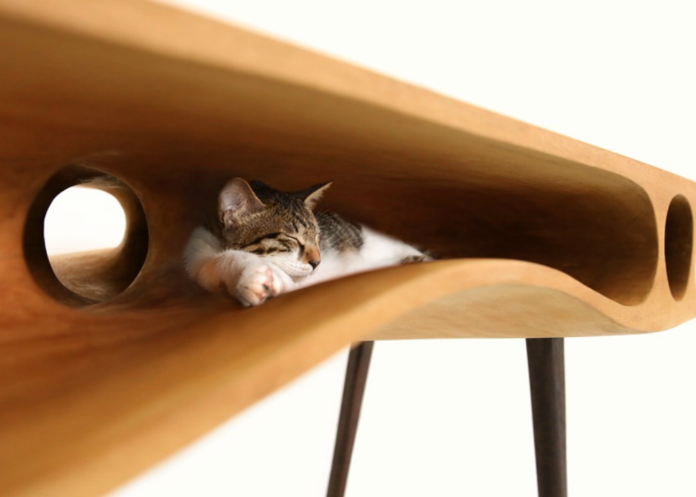 Пример кошачьего стола